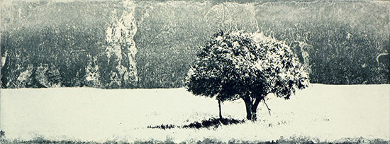 Tracy Templeton Collections (Property Line (2000, 9x24", 16x30"))